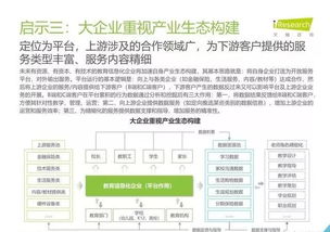 2019年中國教育信息化行業報告 信息技術咨詢服務的戰略角色與發展路徑